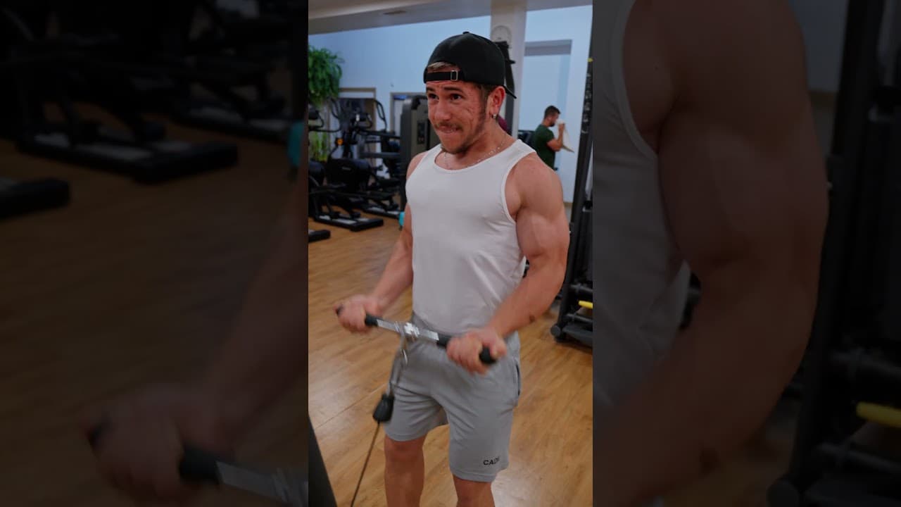 Bless Fitness - Tipos de aluno no ginásio